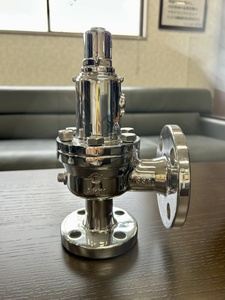 写真6_サニタリー用安全弁.jpg