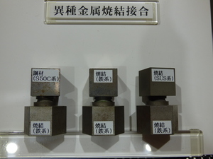 P1310875.JPG